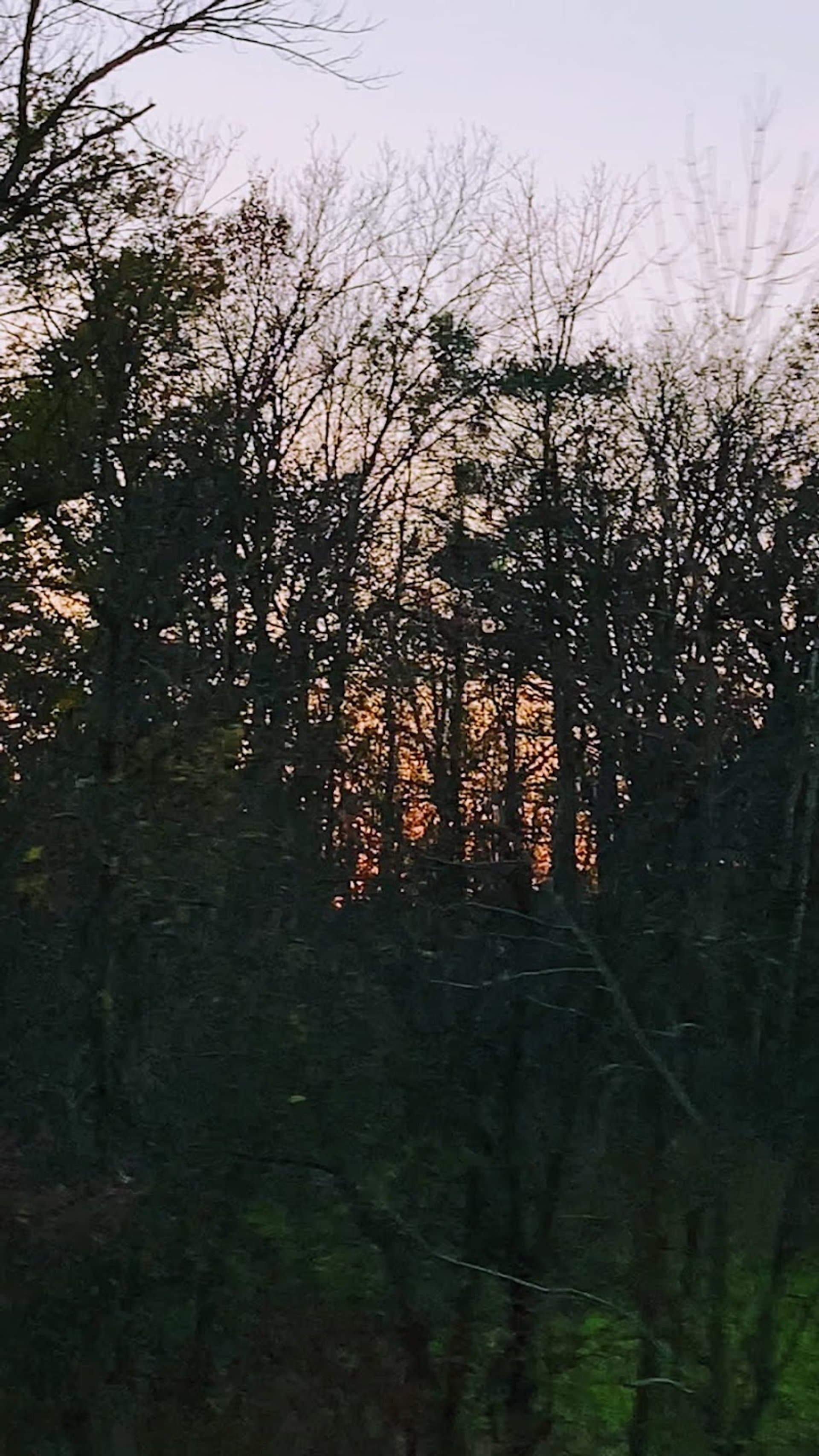 Muskego, WI Landscaping