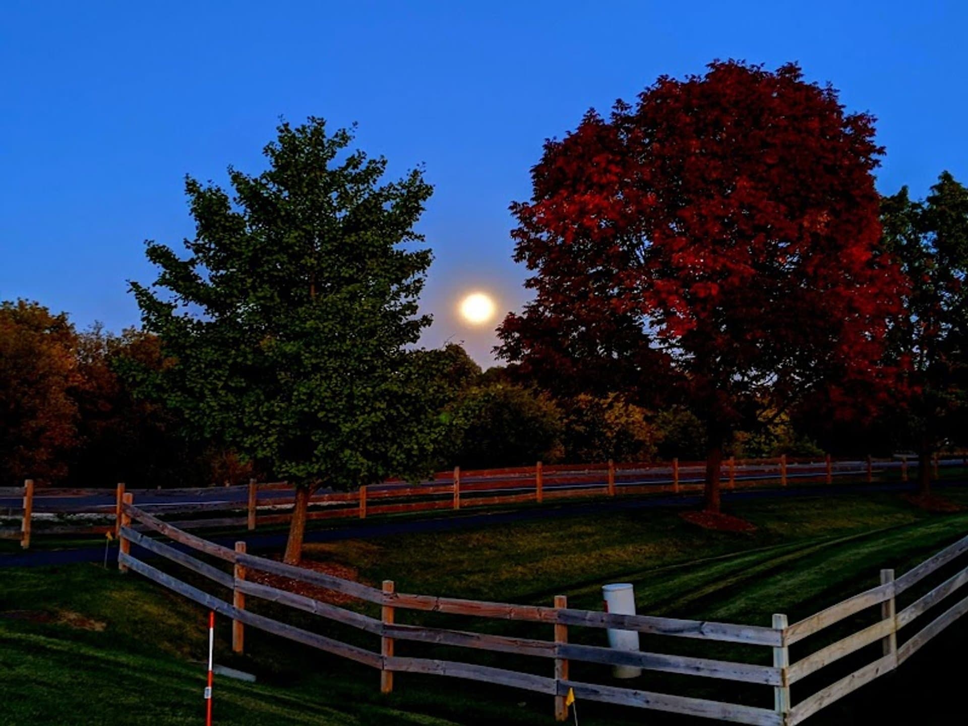 Delafield, WI Landscaping